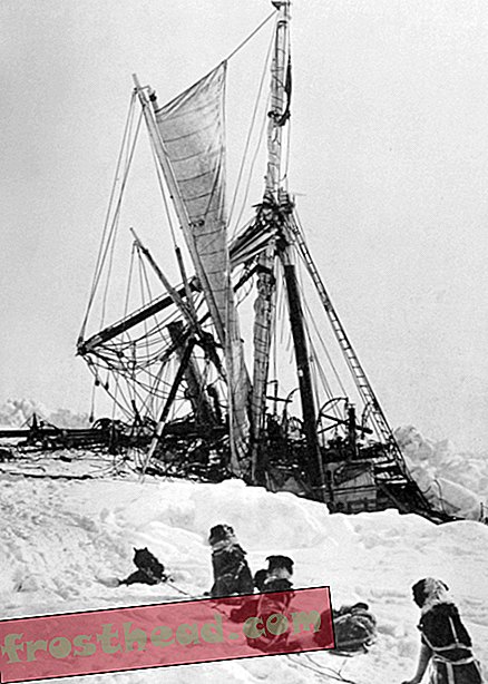 ספינה מחקרית באנטארקטיקה כדי לחפש את תאונת הסיבולת של שקלטון