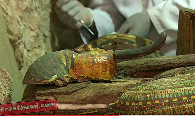 Momias y más de 1,000 estatuas encontradas en la tumba egipcia