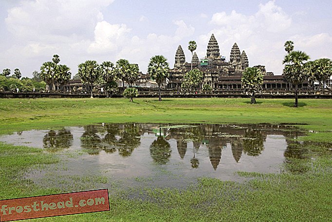 Wenn Bäume gefällt werden, beginnen Angkors Tempel zu bröckeln