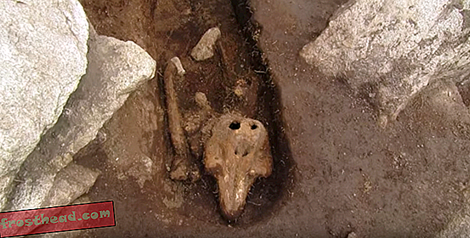 Keskaegsest pringlist luude avastused müstifitseerivad arheolooge