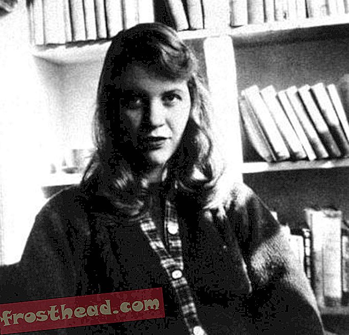 Pedeset godina nakon smrti Sylvia Plath, kritičari tek počinju razumijevati njezin život