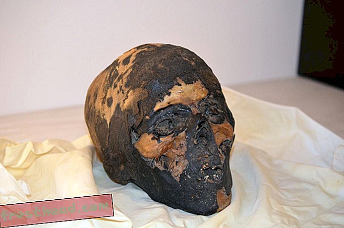 Après plus de 90 ans, des pièces de momie pillées ont été rapatriées en Égypte