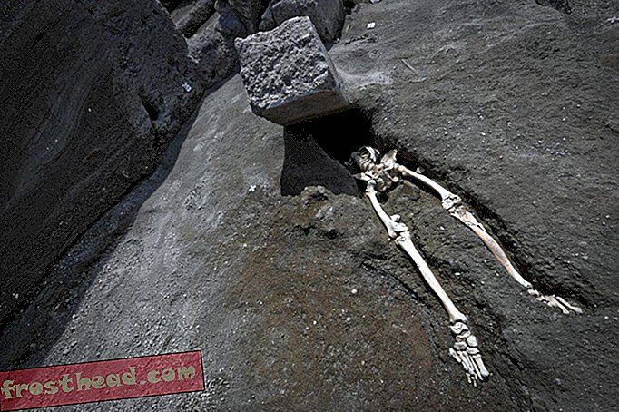 pametne vijesti, pametna vijest i arheologija, pametne ideje i inovacije vijesti - Novi dokazi razbijaju pretpostavke o rušenju smrti za Pompejev kostur