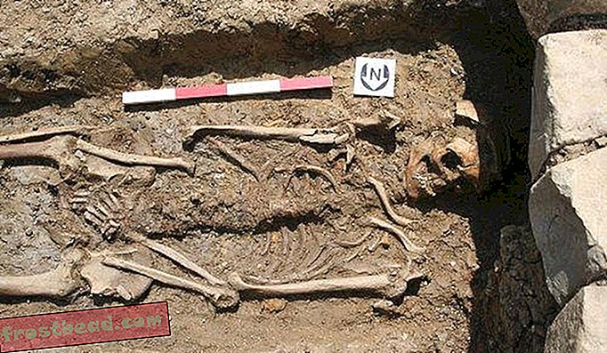 Un des squelettes découvert à Beckery