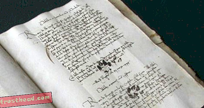 Il y a des siècles, un chat a traversé ce manuscrit médiéval