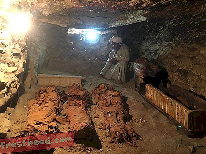 קבר צורף הממלכה החדש התגלה במצרים