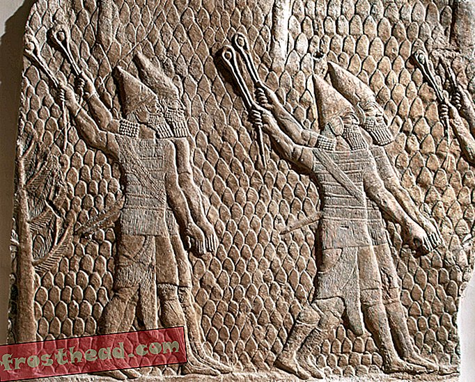 Gamle assyriske soldater ble hjemsøkt av krig, også
