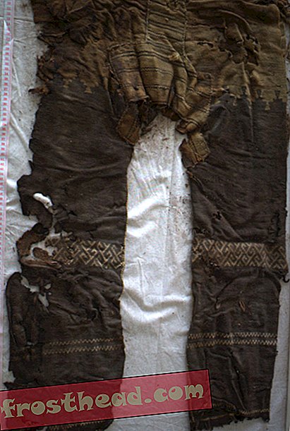 स्मार्ट समाचार, स्मार्ट समाचार इतिहास और पुरातत्व - दुनिया के सबसे पुराने पैंट राइडिंग हॉर्स के लिए विकसित किए गए थे