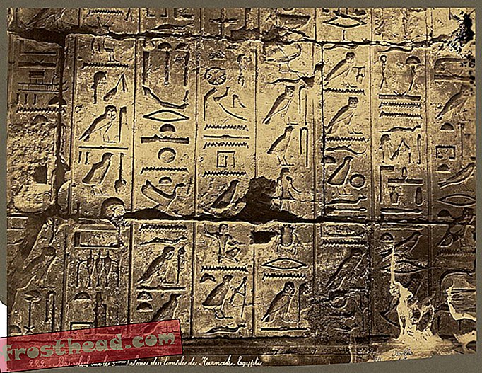smarte nyheder, smarte nyhedshistorie og arkæologi - Gamle egyptiske historier offentliggøres på engelsk for første gang