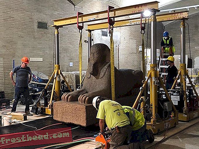 Das Penn Museum schwebte gerade eine 12 Tonnen schwere Sphinx aus dem Fenster