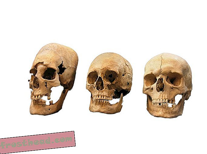Средновековни черепи с островърхи глави в Германия може да са станали български „договорни булки“