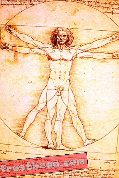 smarte nyheder, smarte nyhedshistorie og arkæologi - Da Vincis Vitruvianske mand kan ikke have været et fejlfrit billede af sundhed