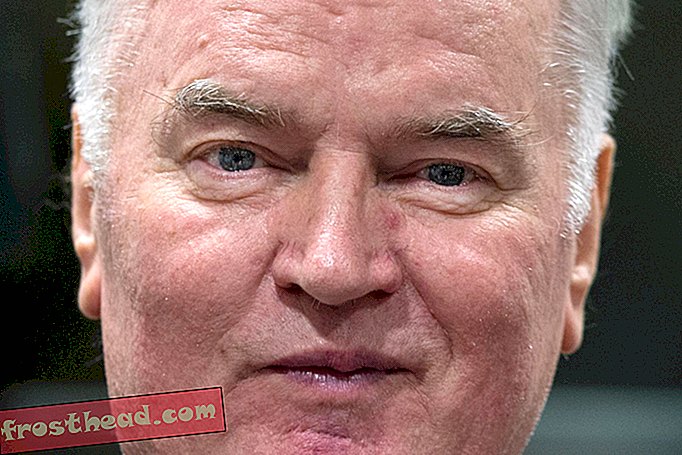 Ratko Mladic, connu comme le «boucher de Bosnie», reconnu coupable de crimes de guerre et de génocide