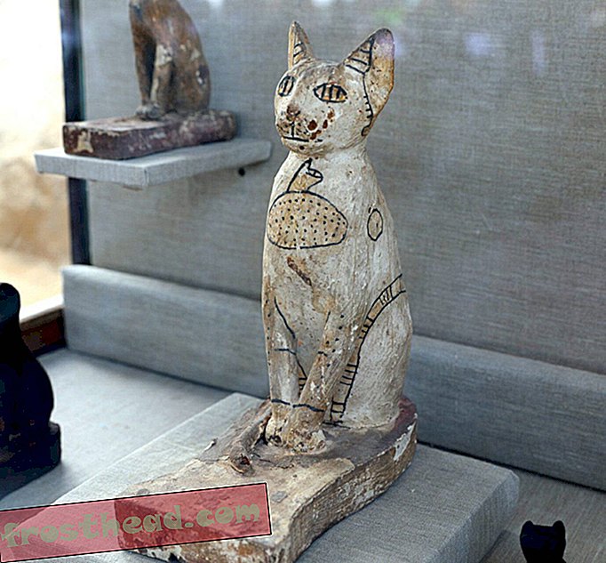 Grab voll der heiligen Katzen und der Käfer gefunden in Ägypten
