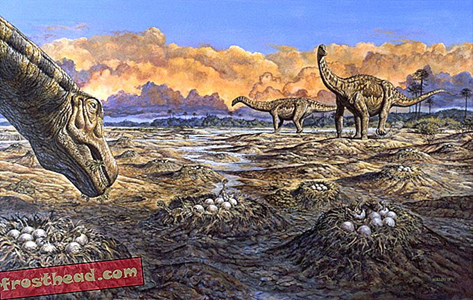 Der größte Dinosaurier, der die Erde bereist, wird bald in einem Museum zu sehen sein