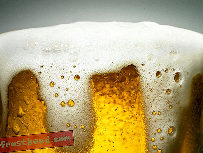 פסטיבל דני ימחזר את השתן של הכינויים להכין בירה