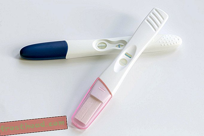 Hier ist eine Idee zur Verhinderung des fetalen Alkoholsyndroms: Kostenlose Schwangerschaftstests in Riegeln