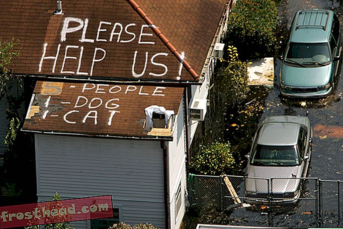 Kako je orkan Katrina spremenil pravni status hišnih ljubljenčkov