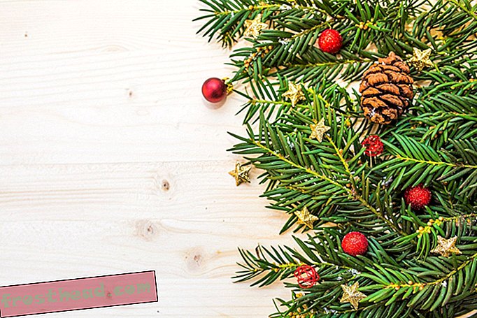 pametne vijesti, pametne vijesti i inovacije - Božićno drvce možete jednog dana pretvoriti u sredstvo za ispiranje usta