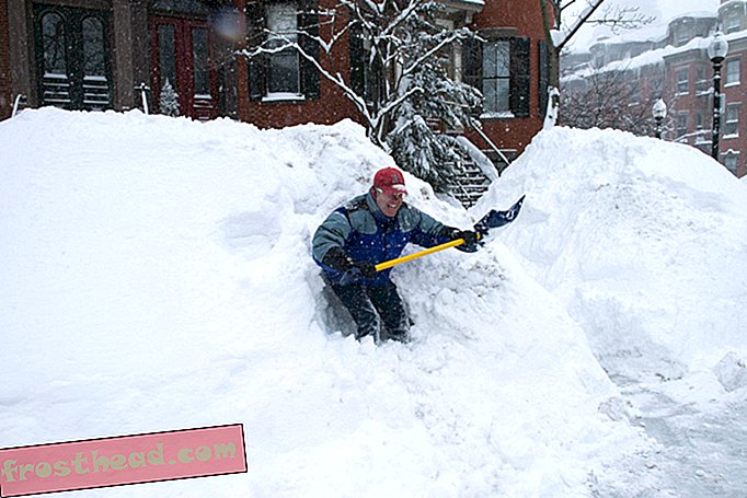 איש אחד ארז ונשלח השנה מעל 700 קילו שלג של בוסטון