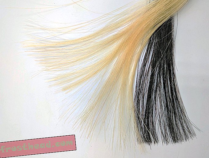 Tintura de cabelo de grafeno é suave em seus bloqueios.  Mas é seguro?