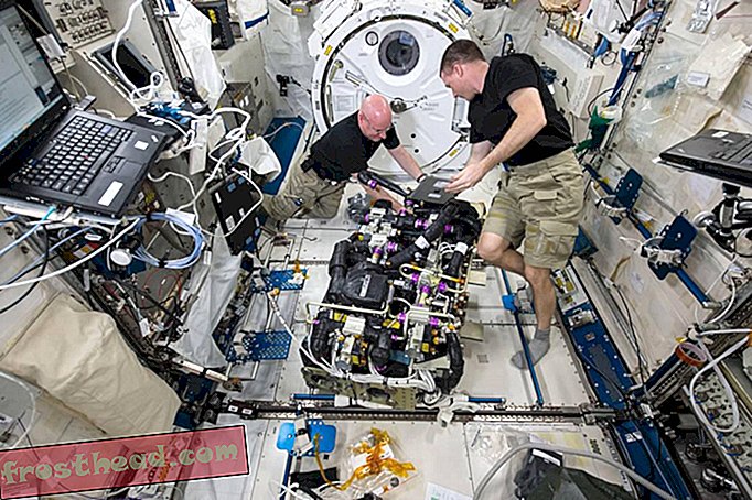 Hvor mye plass trenger astronauter?