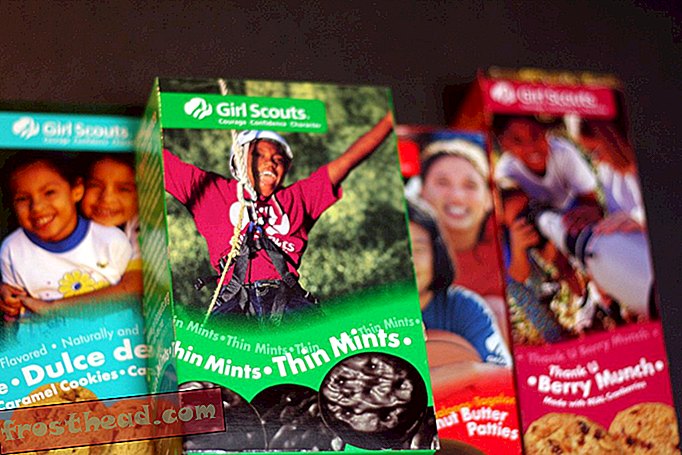 Plan de negocios inteligente: venta de galletas de Girl Scouts por dispensarios de marihuana medicinal