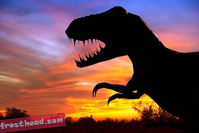 pametne vijesti, pametne vijesti i inovacije - Iza kulisa pri disekciji tirannosaura Rexa