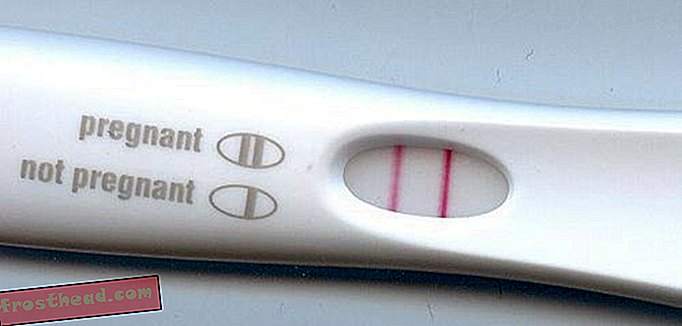 умные новости, умные новости, идеи и инновации - Новый домашний тест может сказать женщинам, что их беременность закончилась