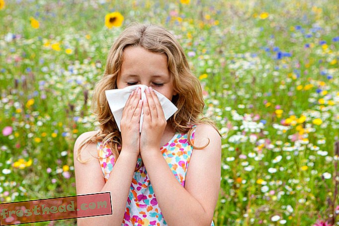 Har du allergier?  Luftforurensning kan være å klandre