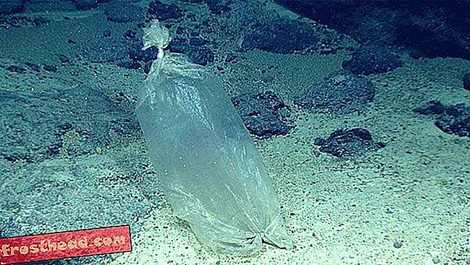 यहां तक ​​कि महासागर के सबसे गहरे हिस्से प्लास्टिक की चौंकाने वाली गिनती के साथ प्रदूषित हैं