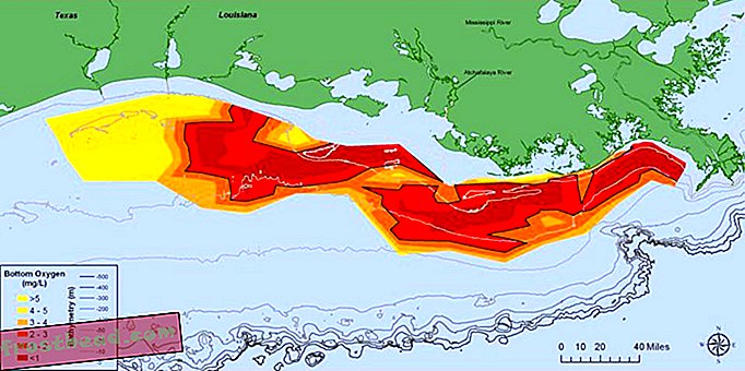 La «zone morte» du golfe du Mexique pourrait atteindre la taille du New Jersey cette année-Nouvelles intelligentes, science de l'information intelligente