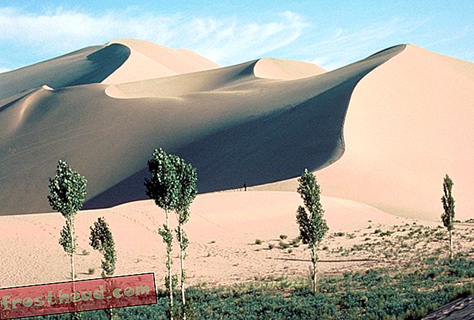 Waarom de Sands of Many Dunes zingen, boem en zelfs boeren