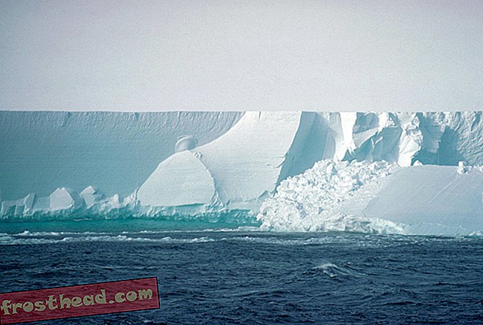 älykkäät uutiset, älykkäät uutiset - Kalat elävät Antarktiksen jääkaapissa, missä näyttää siltä, ​​että heidän ei pitäisi selviytyä