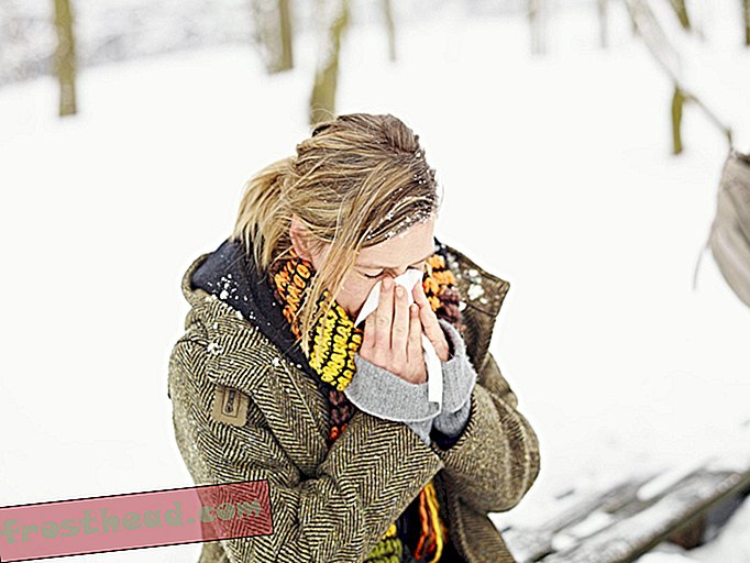 pametne vijesti, pametne vijesti - Postoji znanstveni razlog koji bi mogao uzrokovati prehlade zbog hladnog vremena