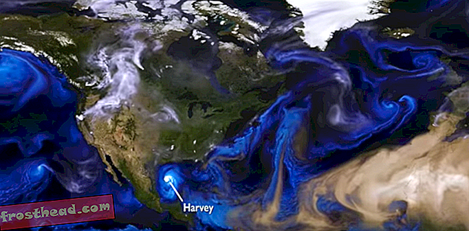 Katso tämän vuoden hirmumyrskyt pyörrellä ympäri maailmaa uudella NASA-visualisoinnilla