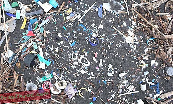 интелигентни новини, умни новини - Отдалечените южноатлантически острови са наводнени с пластмаса