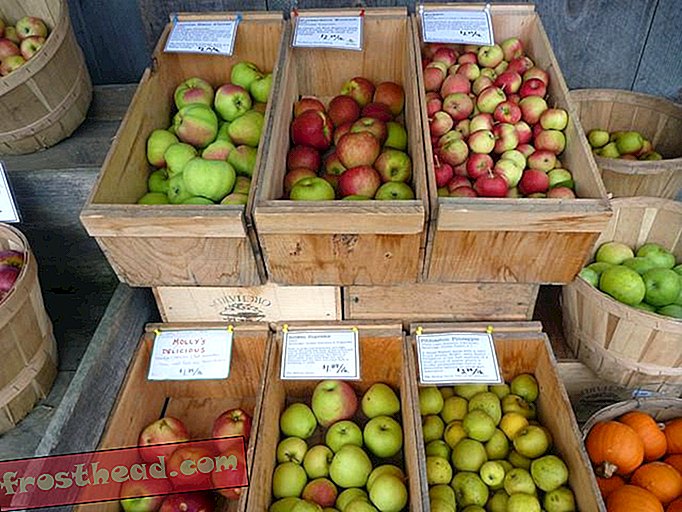 Taistelu tuhansien perintökalujen omenapuiden pelastamiseksi