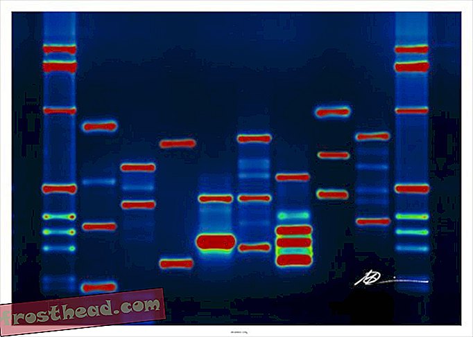noticias inteligentes, ciencia de noticias inteligentes - El ADN basura no es basura, y eso no es realmente noticia