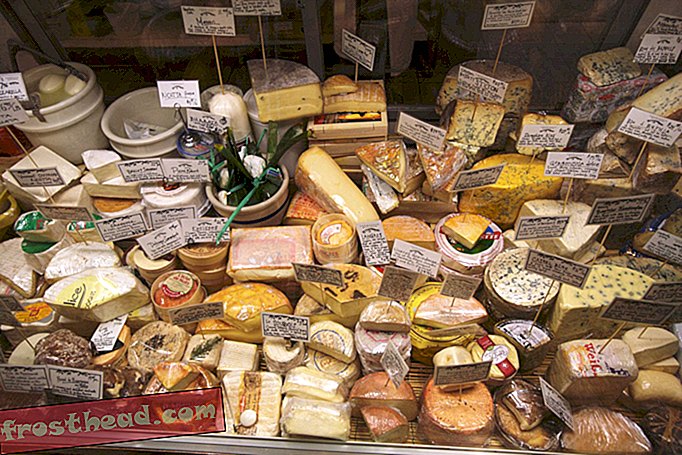 Los microbios que hacen que el queso sepa bien son sorprendentemente universales