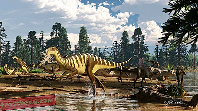 Nye arter av dinosaurer funnet i Australia avslører en 'tapt verden'