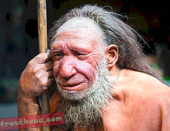 Нови детаљи студије Крижање древних људи с рођацима еволуцијским