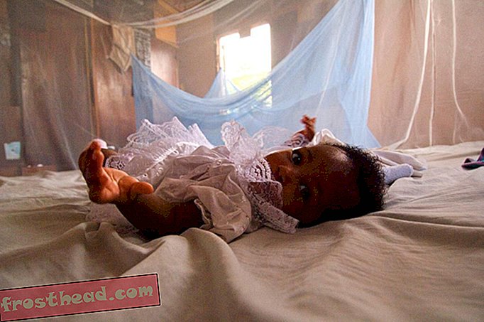 интелигентни новини, умни новини - Стотици хиляди бебета ще получат първата в света ваксина срещу малария