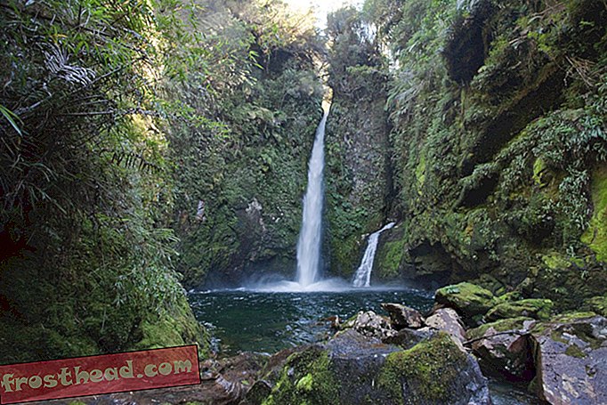 Чиле одређује 10 милиона хектара земље националним парковима