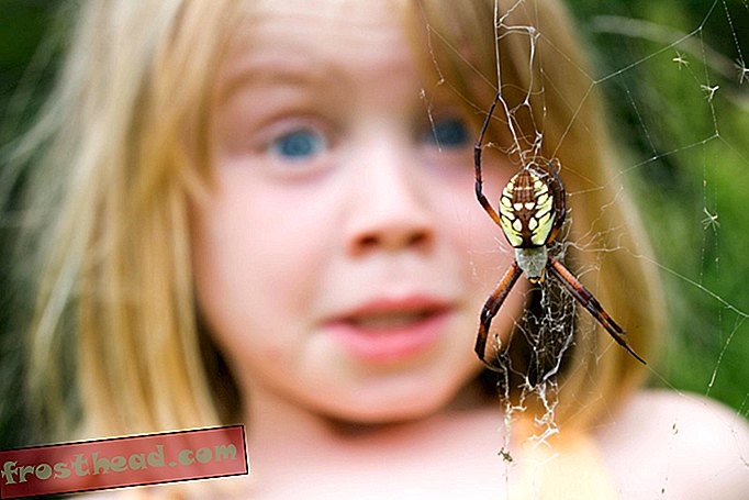 Les araignées vous donnent les Heebie Jeebies?  Vous pourriez être né avec cette peur