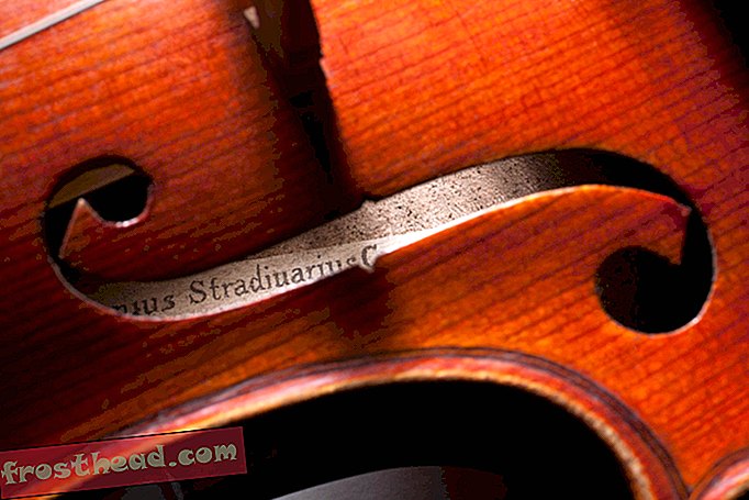 nutikad uudised, nutikad uudisteadused - Mineraalvannid võisid anda Stradivarile nende signatuuri
