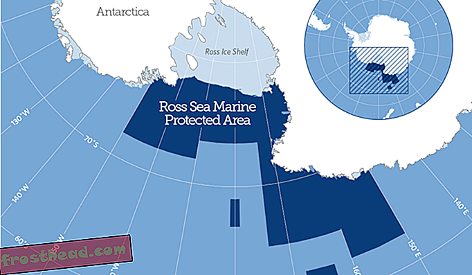 Największe na świecie sanktuarium morskie ogłoszone u wybrzeży Antarktydy