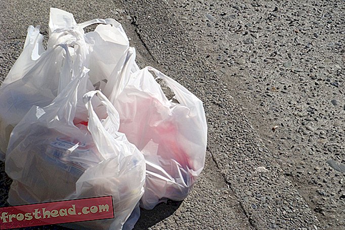 New York uvodi državnu zabranu na plastične vrećice