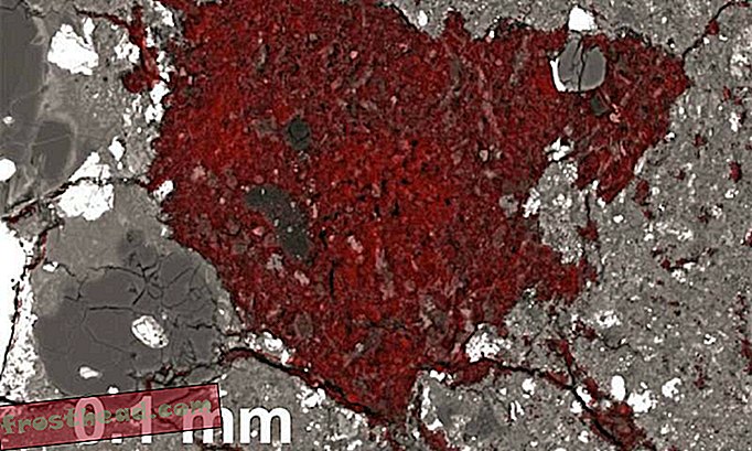 वैज्ञानिकों ने एक उल्कापिंड के अंदर धूमकेतु का एक छोटा धब्बा पाया