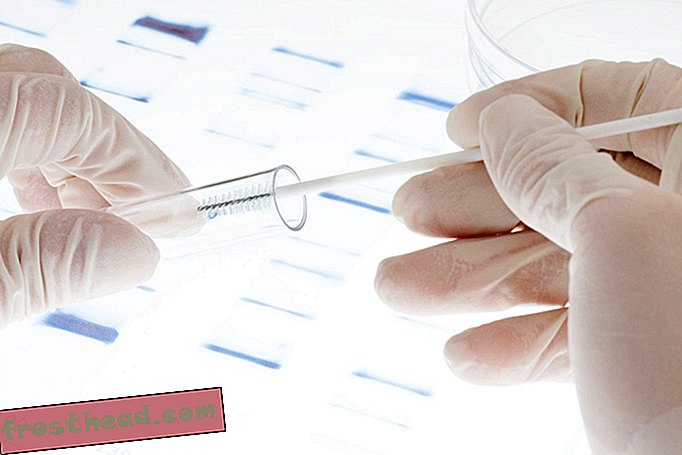 Sinut voidaan tunnistaa sukututkimustietokannan kautta - vaikka DNA: ta ei olisi testattu